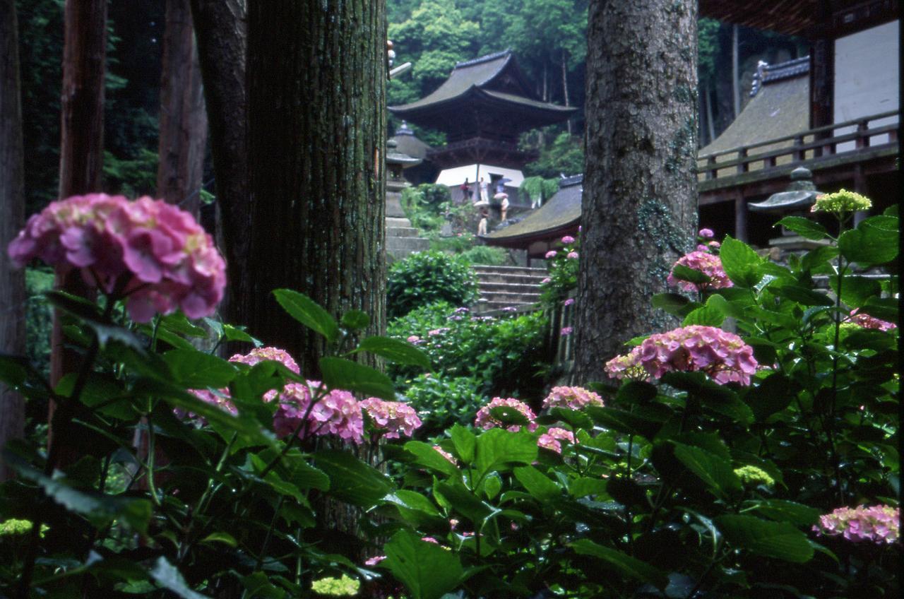 Kitabiwako Hotel Grazie Nagahama  Extérieur photo